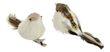 White / Brown Feather Birds - Pk.2 