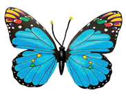Blue Butterfly - 50 x 35cm 