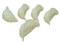 Replica Gyoza Pot Sticker Dumplings - Pk.5