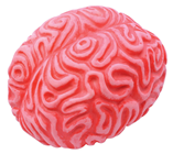 Squeezy Brain 