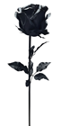 Large Black Rose - 108 x 23cm 