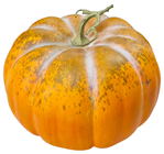 Autumnal Orange Pumpkin - 33cm 
