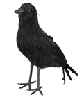 Crow 