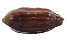 Artificial Cocoa Pod - Brown 