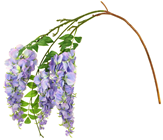 Purple Wisteria Spray 