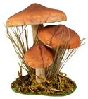 Brown Mushroom Group - 10cm 