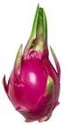 Artificial Dragon Fruit 