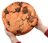 Giant Plush Cookie 