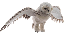 Flying Snowy Owl 