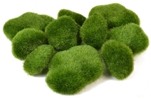 Fake Hairy Moss Stones - Pk.10 