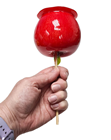 Toffee Apple on Stick - Slight Second 