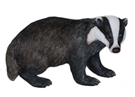 Badger 