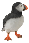 Puffin 