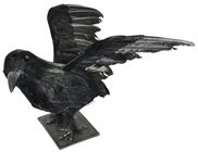 Raven on Base 36cm 