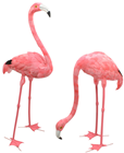 Flamingo - Head Up 55cm 
