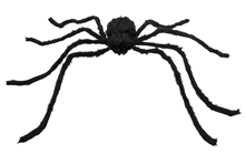 Giant Spider 