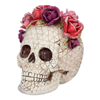 Day of the Dead Skull Senora Rosa 