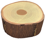 Medium Tree Stump - Slight Second 