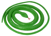 Green Coiled Snake 