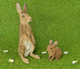 Baby Hare - Leveret 