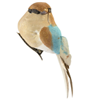 Light Buff and Blue Decorative Bird wi 