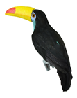 Yellow and Turquoise Toucan 
