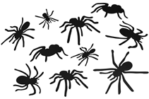 Spider Silhouette Cut Outs - Pk.10 