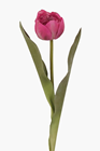 Tulip Stem - Red 
