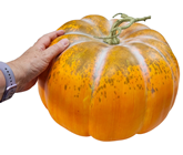 Autumnal Orange Pumpkin - 33cm 