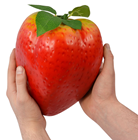 Giant Fake Strawberry 