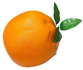 Fake Giant Orange - Slight Second 