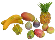 Tropical Fruit Selection Set 
