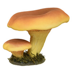 Yellow Toadstool Group - 20cm 