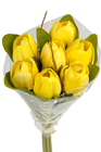 Tulip Bouquet - Yellow 