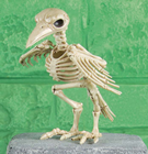 Skeleton Raven - 18cm  