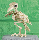 Skeleton Raven - 18cm