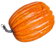 Orange Pumpkins - Pk,7, Slight Secon 