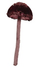 Large Maroon Hanging Fantasy Mushroom 