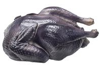 Black Skinned ''Silkie'' Chicken 