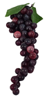 Wine Red Decorative Grapes - 28cm 