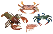 Crab, Lobster and Prawn Set 