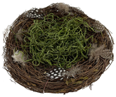 Bird''s Nest with Moss & Feathers% 