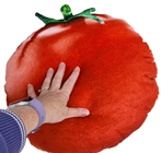 Giant Plush Tomato 