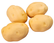 Medium Fake Potato - Pk.4 