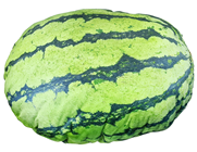 Giant Plush Watermelon 