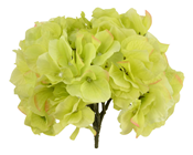 Hydrangea Flower - Green 