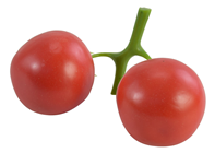 Tomato Truss 