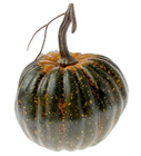 Autumnal Green Pumpkin - 13 x 12cm 