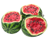Small Cut-Effect Watermelon, Pk.3 