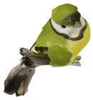 Yellow and Green Garden Bird with Clip 